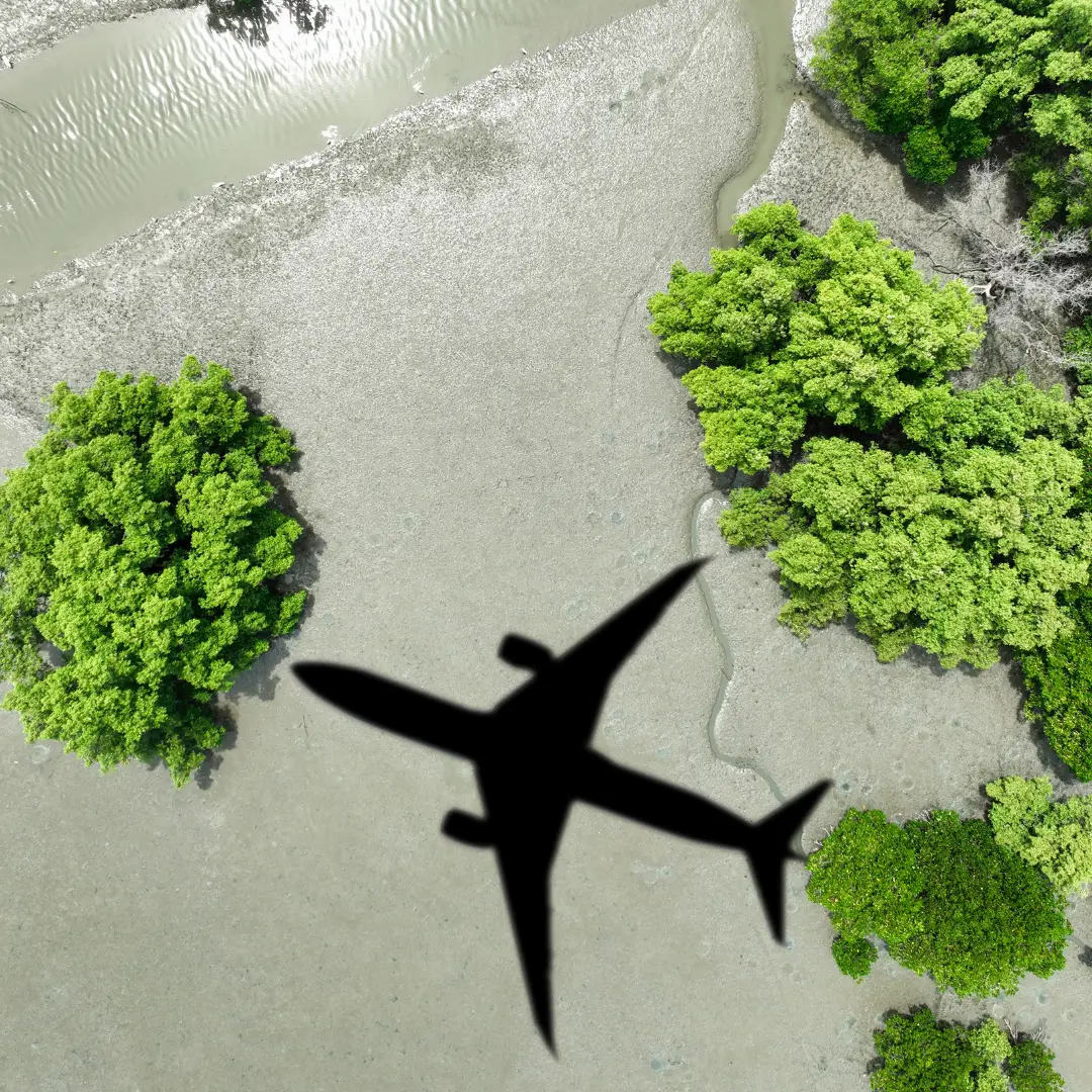 La missione dietro Greencitystudio, accompagnare il cliente verso l'ecosostenibilità